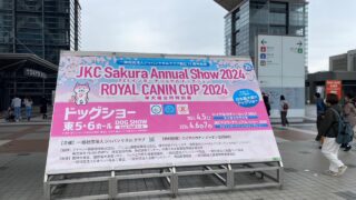 JKCサクラ・アニュアル・ショー2024/ロイヤルカナンカップ2024