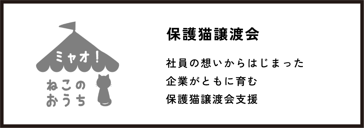 保護猫譲渡会
