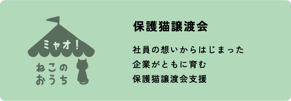 保護猫譲渡会
